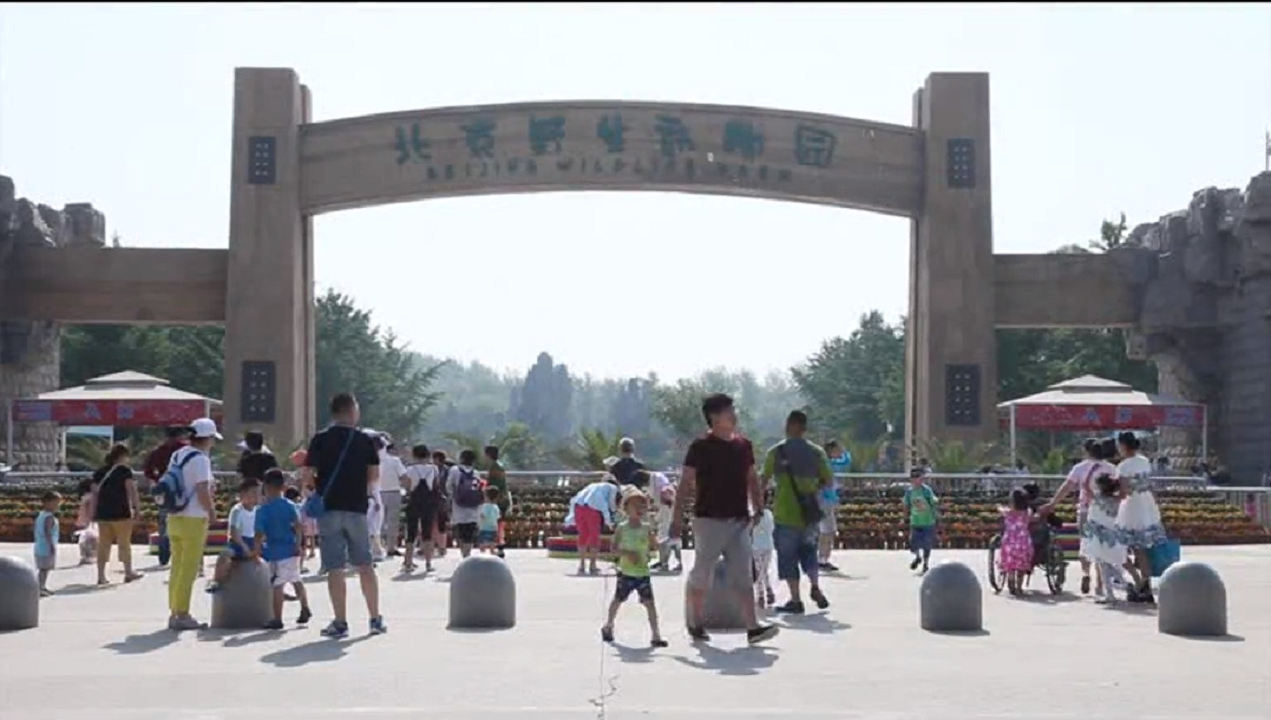 2121非凡·(中国游)体育官方网站