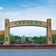 2121非凡·(中国游)体育官方网站